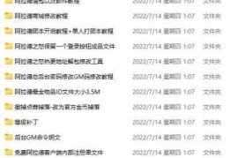 【阿拉德】修改教程合集