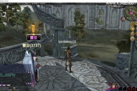 大型3DSRPG端游【王者世界汉化版】最新整理VM单机一键即玩服务端+GM脚本命令控制台+PC端+视频教程