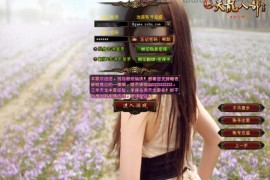 经典武侠端游【天龙八部之暗夜破晓】最新整理Linux手工服务端+GM工具+PC客户端+详细搭建教程